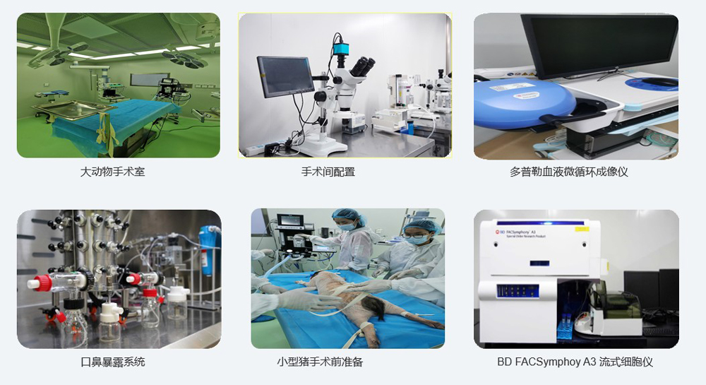 大動物實驗儀器設(shè)備.jpg