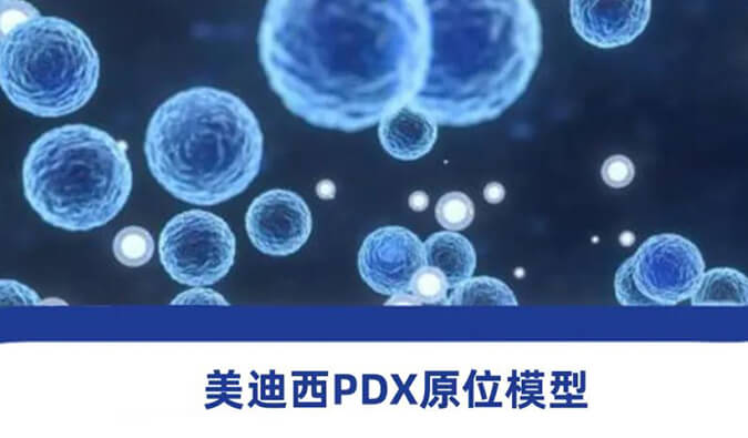 美迪西118種PDX原位模型，助力腫瘤藥物研發(fā)