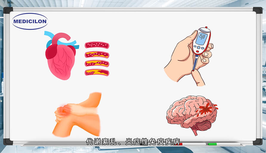 大動(dòng)物模型在藥物研發(fā)中的作用