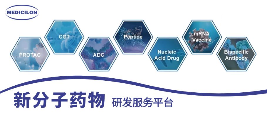 美迪西新分子藥物研發(fā)服務(wù)平臺(tái)