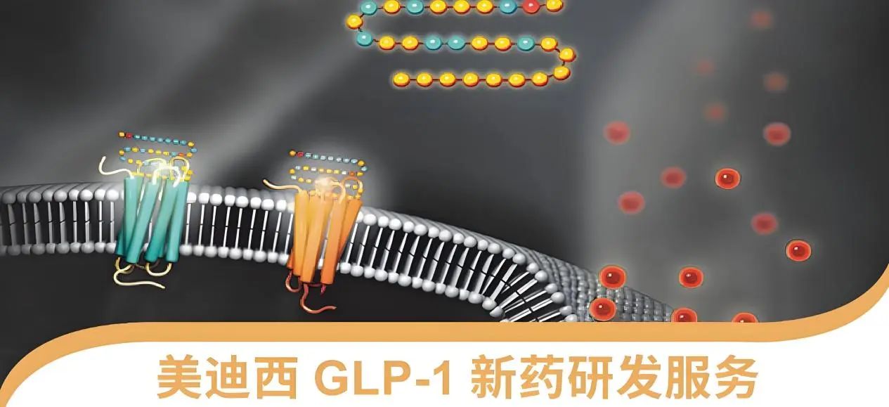 70.5%的成人正在悄悄長胖！國家衛(wèi)健委“減肥令”下，GLP-1藥物如何突圍？