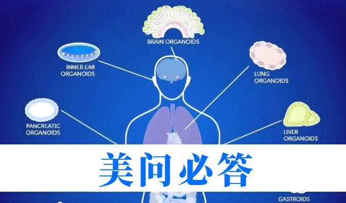 美問必答